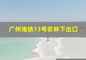 广州地铁13号农林下出口