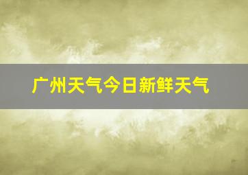 广州天气今日新鲜天气