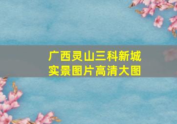 广西灵山三科新城实景图片高清大图