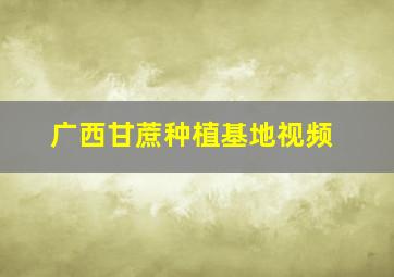 广西甘蔗种植基地视频