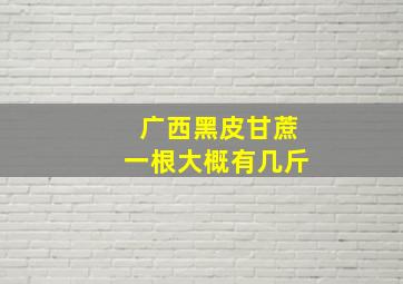 广西黑皮甘蔗一根大概有几斤