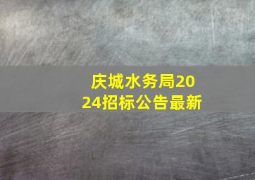 庆城水务局2024招标公告最新