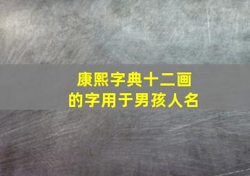 康熙字典十二画的字用于男孩人名