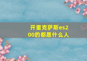 开雷克萨斯es200的都是什么人