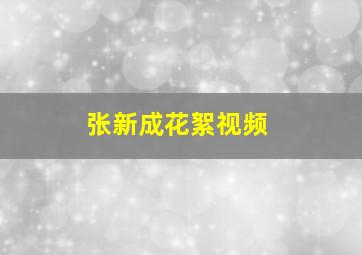 张新成花絮视频