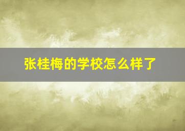 张桂梅的学校怎么样了