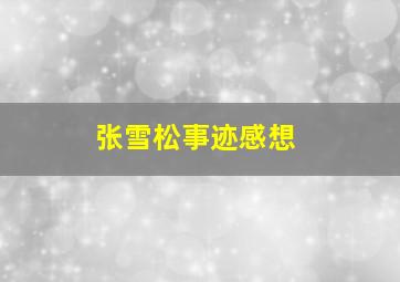 张雪松事迹感想