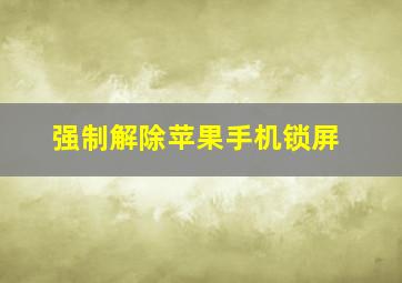 强制解除苹果手机锁屏