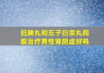 归脾丸和五子衍宗丸同服治疗男性肾阴虚好吗