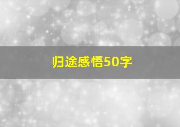 归途感悟50字