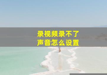 录视频录不了声音怎么设置