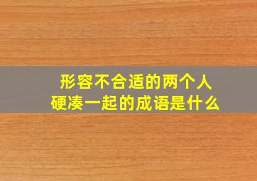 形容不合适的两个人硬凑一起的成语是什么