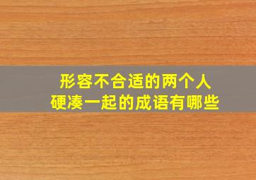 形容不合适的两个人硬凑一起的成语有哪些