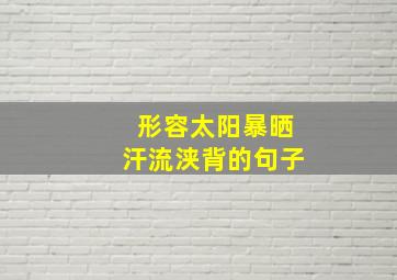 形容太阳暴晒汗流浃背的句子