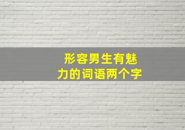 形容男生有魅力的词语两个字