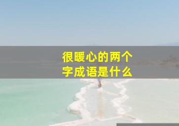 很暖心的两个字成语是什么