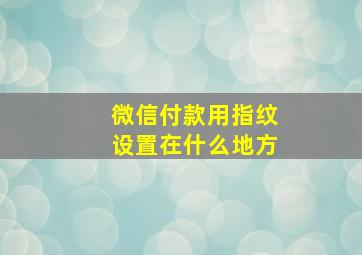 微信付款用指纹设置在什么地方