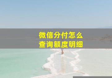 微信分付怎么查询额度明细