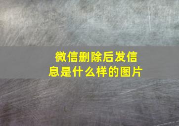 微信删除后发信息是什么样的图片