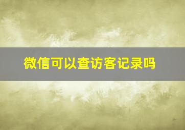 微信可以查访客记录吗