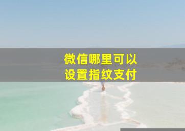 微信哪里可以设置指纹支付