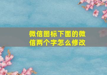 微信图标下面的微信两个字怎么修改