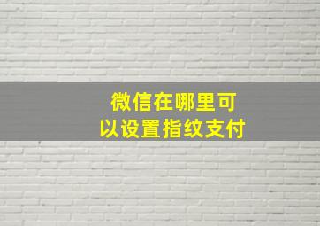 微信在哪里可以设置指纹支付