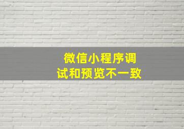 微信小程序调试和预览不一致