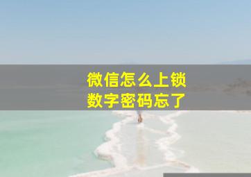 微信怎么上锁数字密码忘了