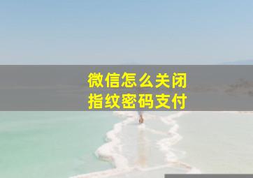 微信怎么关闭指纹密码支付