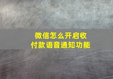 微信怎么开启收付款语音通知功能