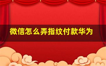 微信怎么弄指纹付款华为