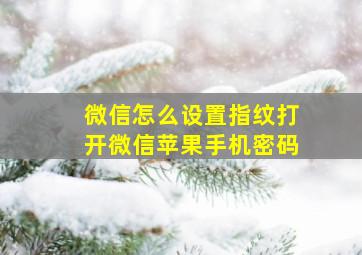 微信怎么设置指纹打开微信苹果手机密码