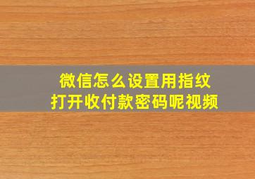 微信怎么设置用指纹打开收付款密码呢视频