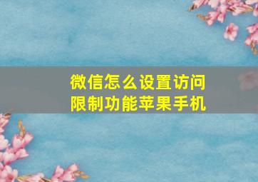 微信怎么设置访问限制功能苹果手机