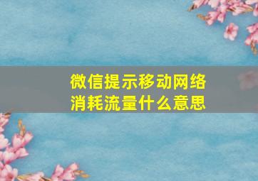 微信提示移动网络消耗流量什么意思