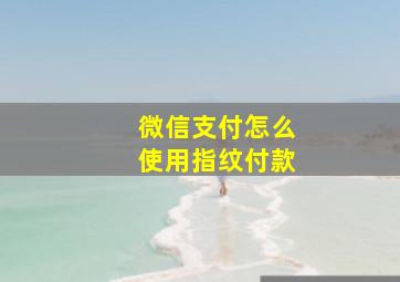 微信支付怎么使用指纹付款