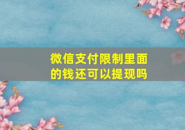 微信支付限制里面的钱还可以提现吗