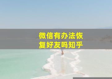 微信有办法恢复好友吗知乎