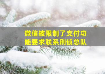 微信被限制了支付功能要求联系刑侦总队