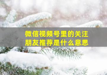 微信视频号里的关注朋友推荐是什么意思