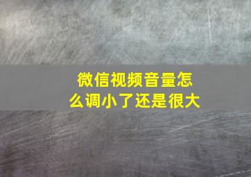 微信视频音量怎么调小了还是很大