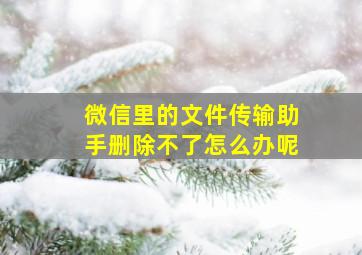 微信里的文件传输助手删除不了怎么办呢