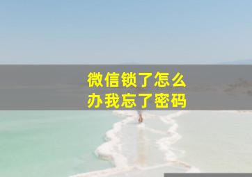 微信锁了怎么办我忘了密码