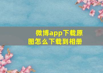 微博app下载原图怎么下载到相册