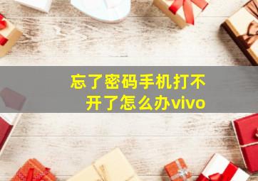 忘了密码手机打不开了怎么办vivo