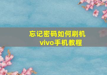 忘记密码如何刷机vivo手机教程