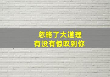 忽略了大道理有没有惊叹到你