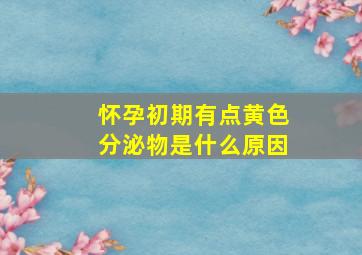 怀孕初期有点黄色分泌物是什么原因