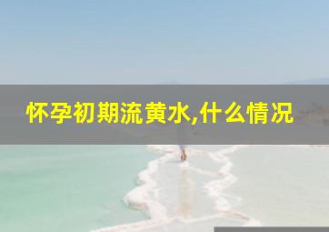 怀孕初期流黄水,什么情况